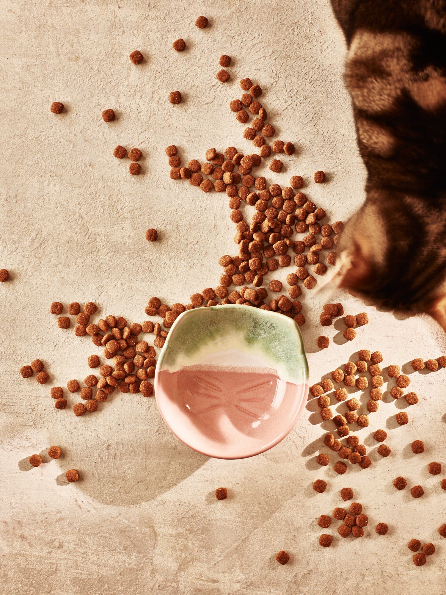 Green Pink Ceramic Cat Pet Bowl Oliver Bonas