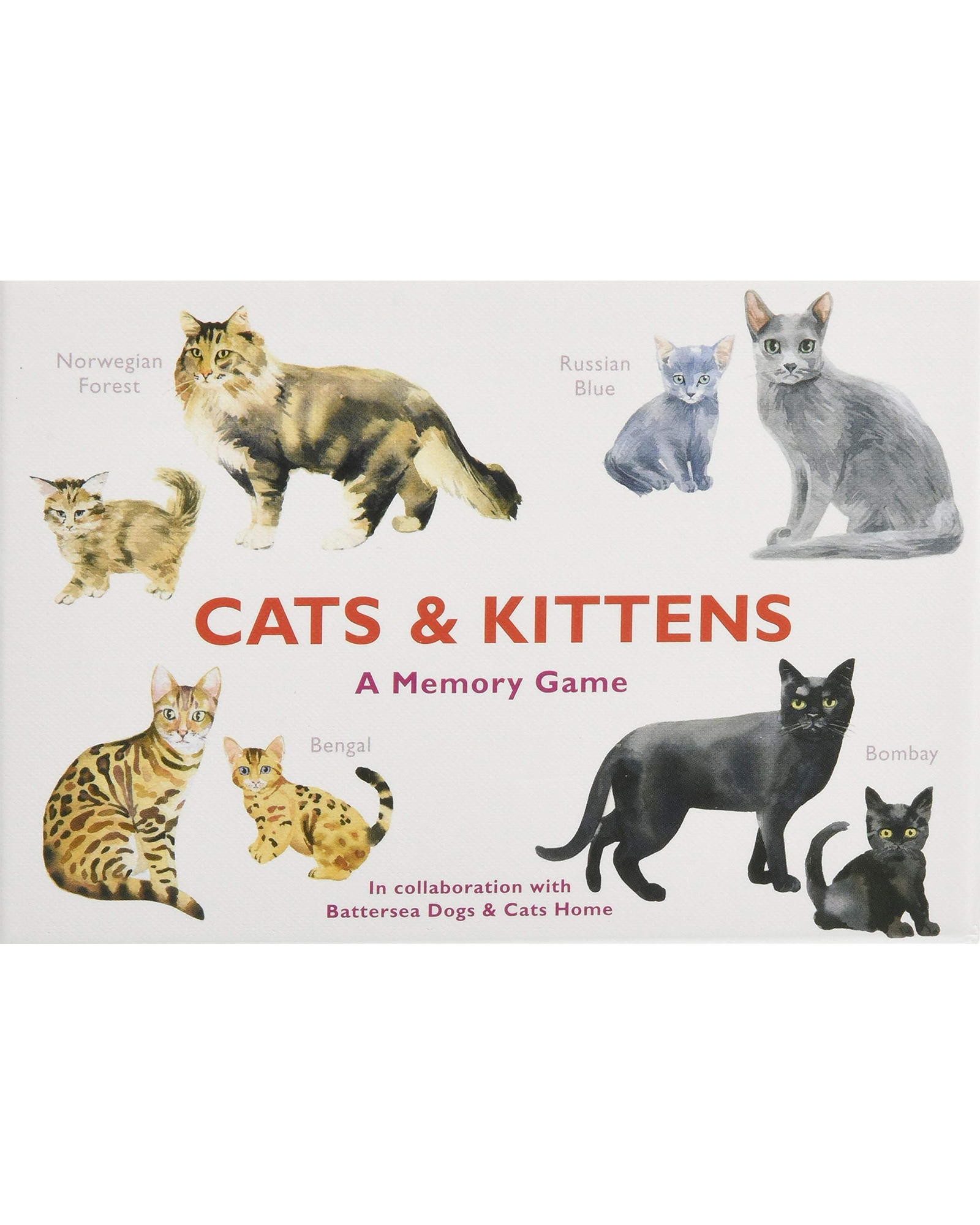 Cats &amp; Kittens Memory Game | Oliver Bonas