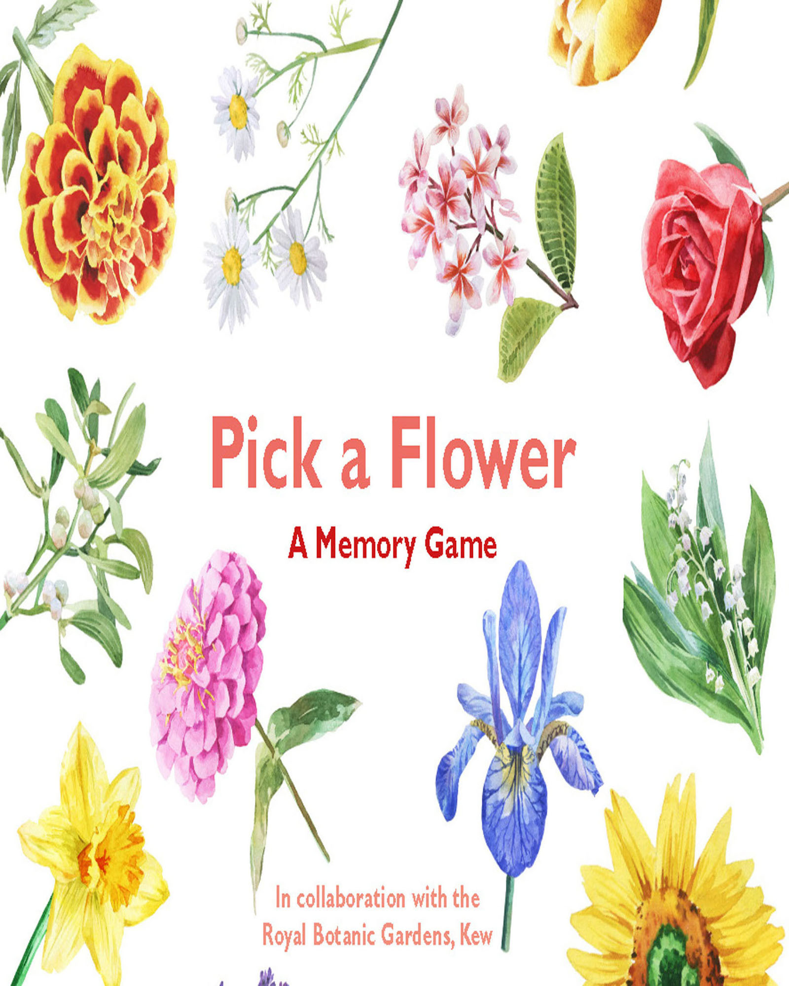 Pick a Flower Memory Game Oliver Bonas
