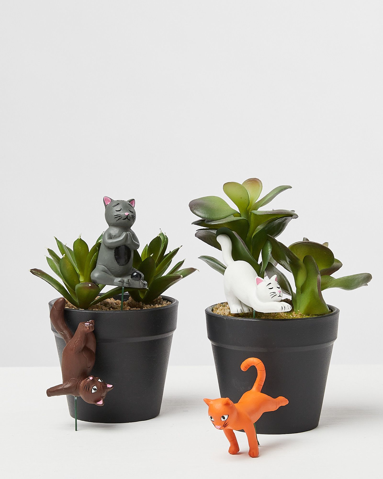 Yoga Cats Mini Plant Pot Figures
