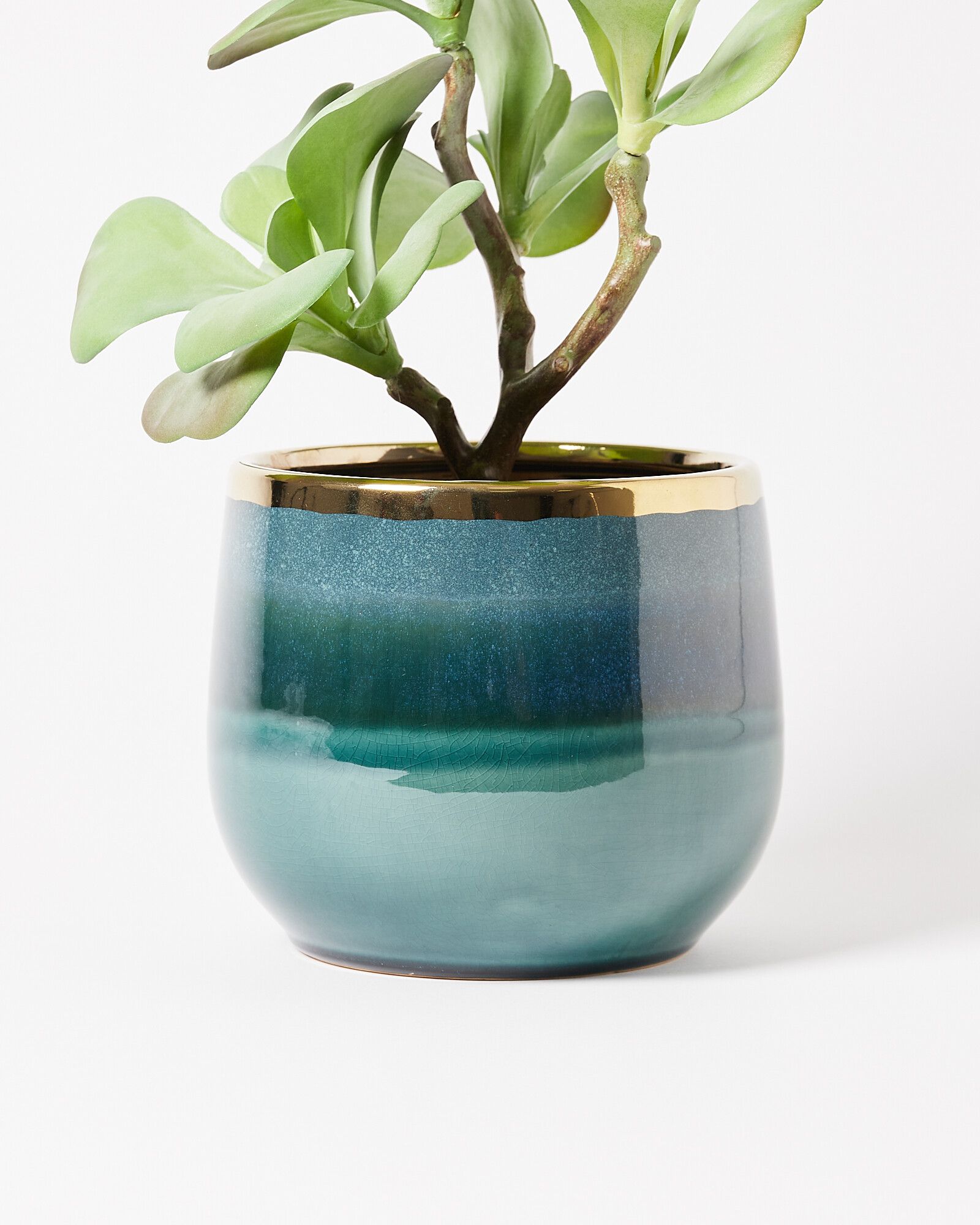 Laine Blue Ceramic & Gold Foil Plant Pot Extra Large | Oliver Bonas