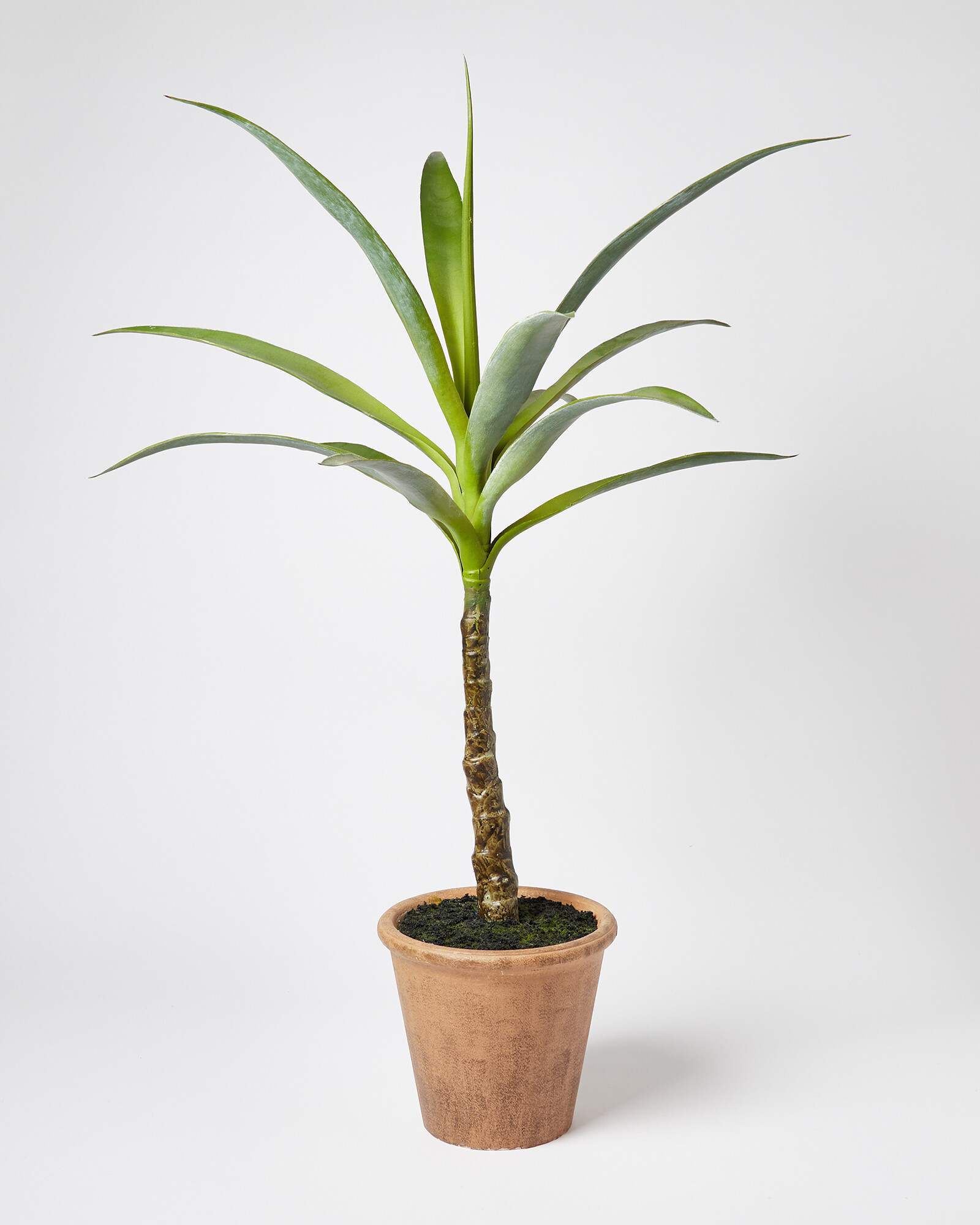 Yucca Single Artificial Plant Oliver Bonas