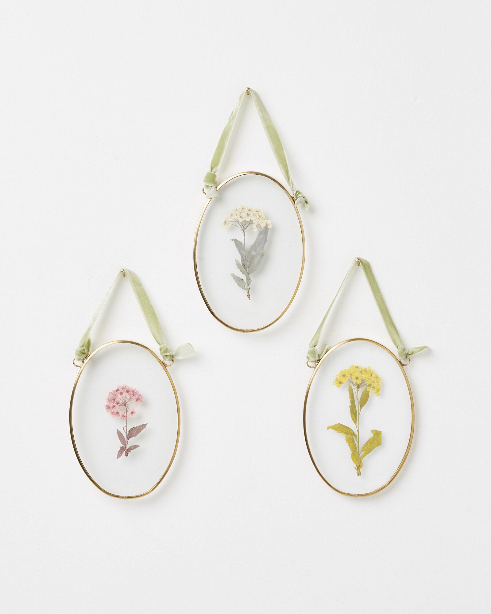 Gold & Glass Pastel Dried Flower Wall Hangings Set of Three | Oliver Bonas
