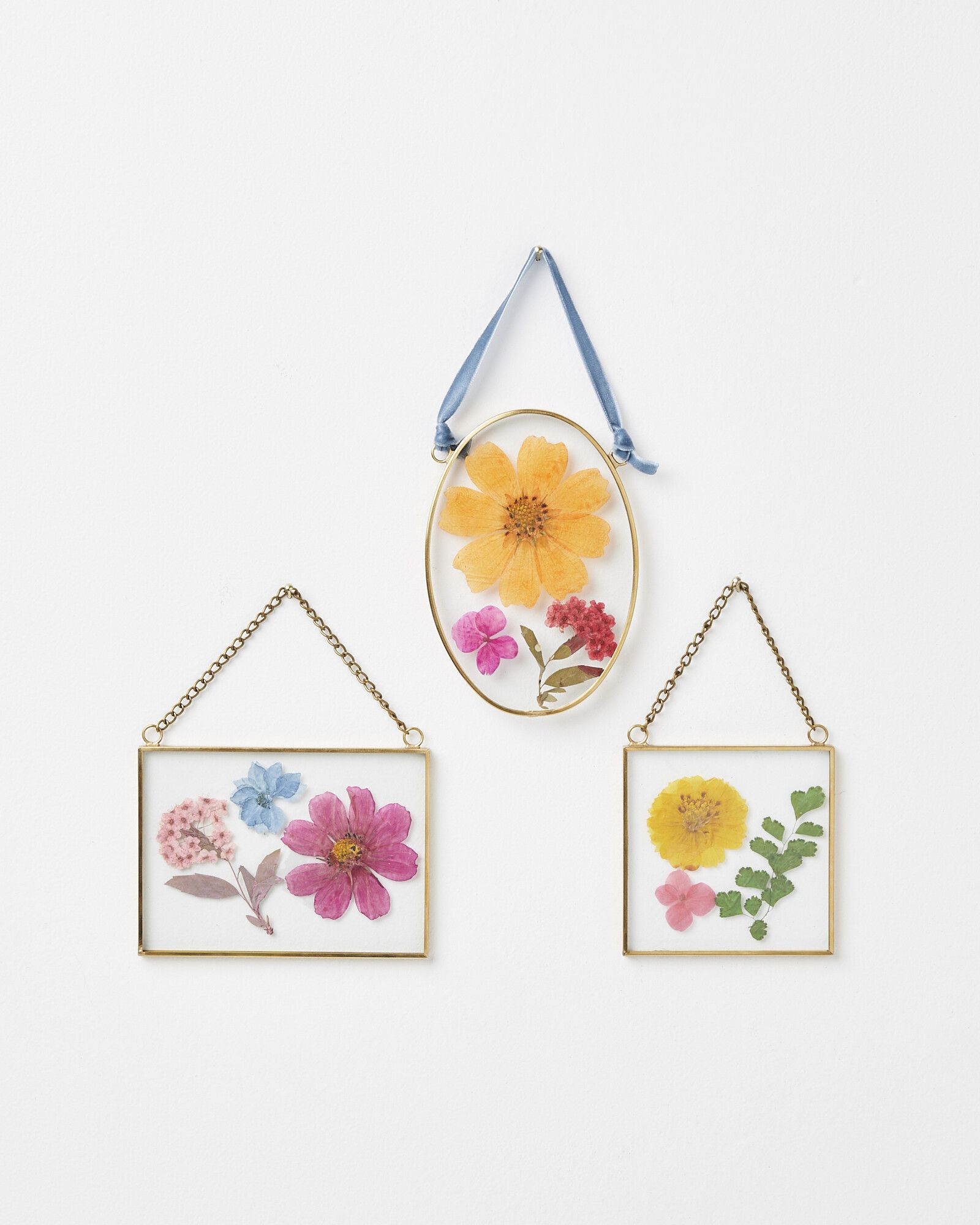 Gold & Glass Bright Dried Flower Wall Hangings Set of Three | Oliver Bonas