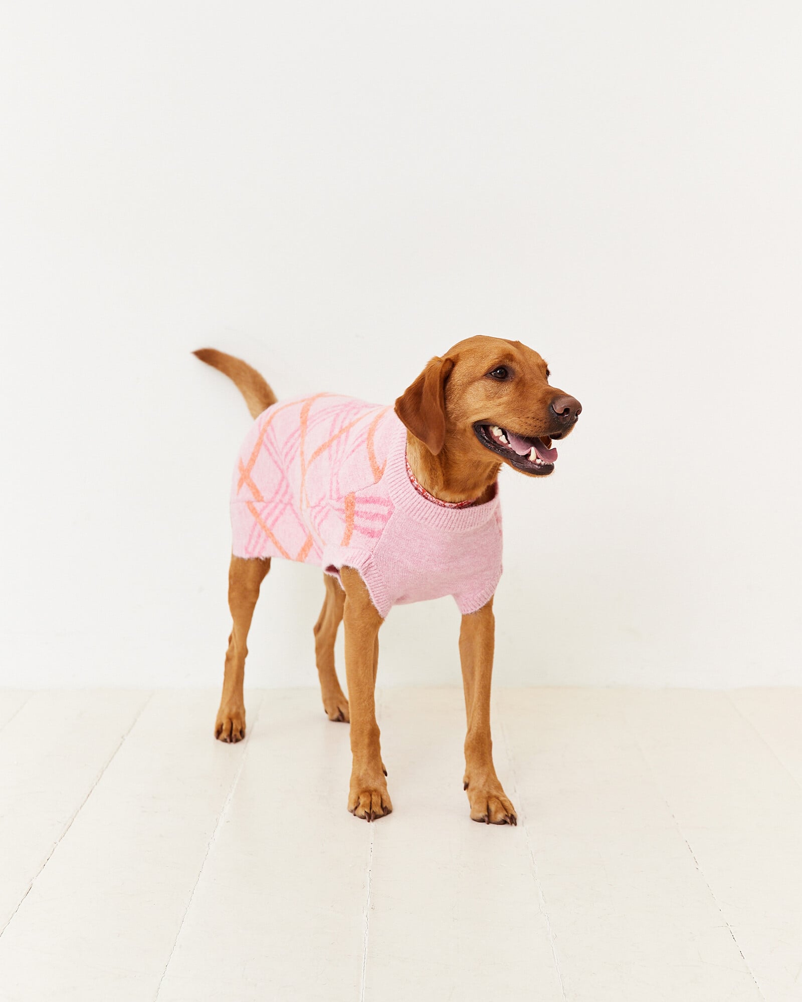 oliver bonas sweater
