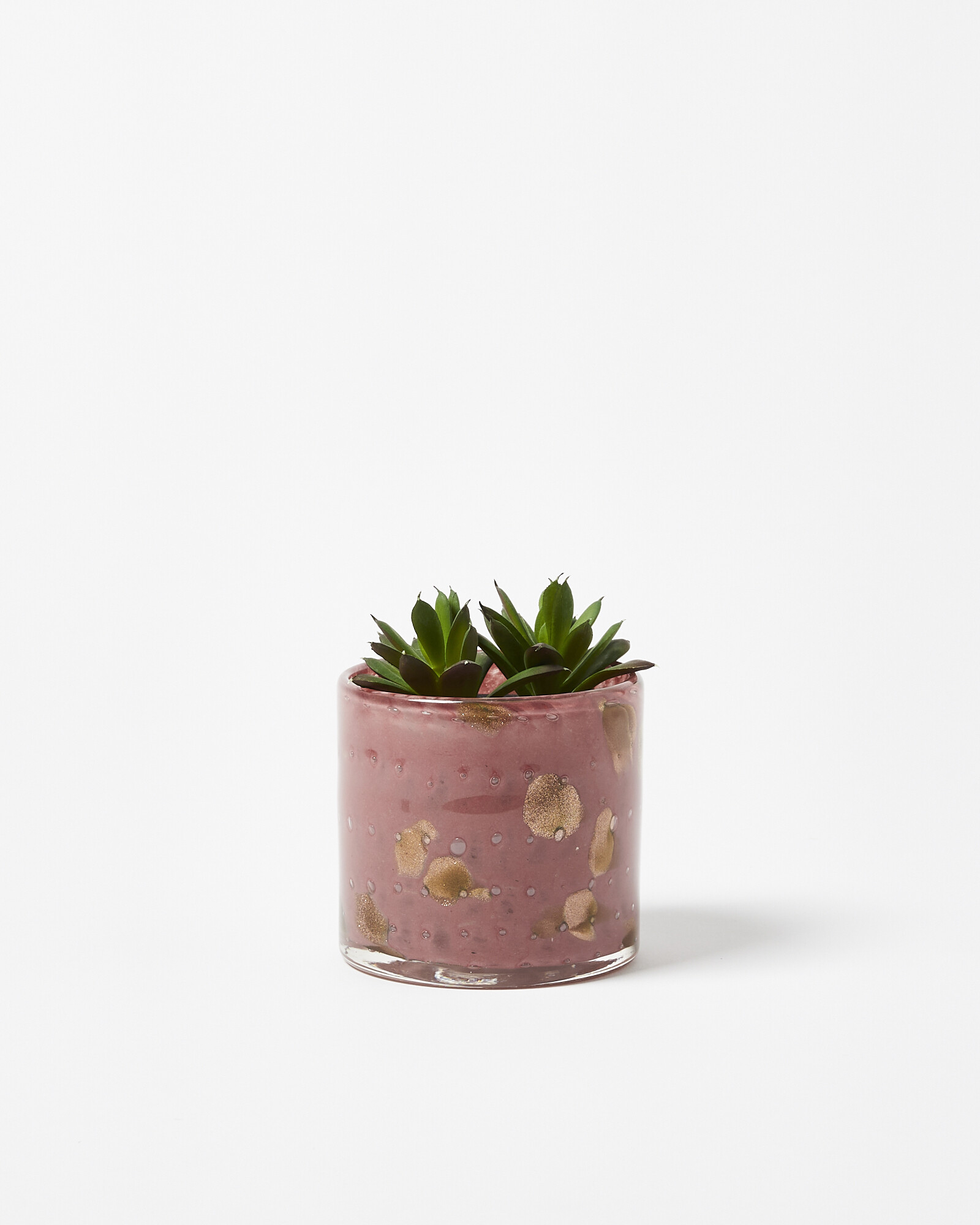 Zoja Pink Glass Plant Pot Small Oliver Bonas