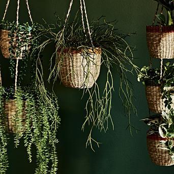 How To Pick The Perfect Pot For Your Plant Oliver Bonas