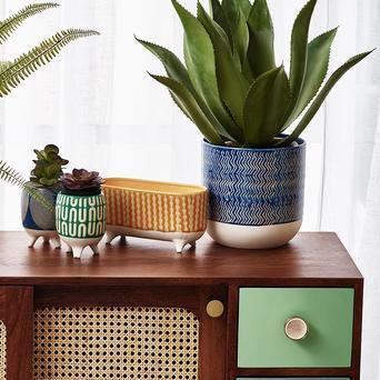 Perfect Pot for Your Plant 