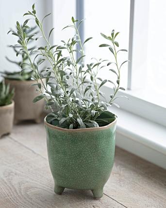 Grey Footed Ceramic Plant Pots Oliver Bonas