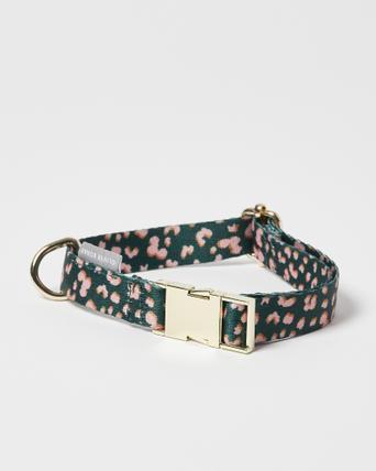 fabric dog collars