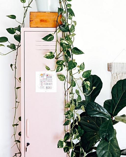 Skinny Storage Locker Oliver Bonas