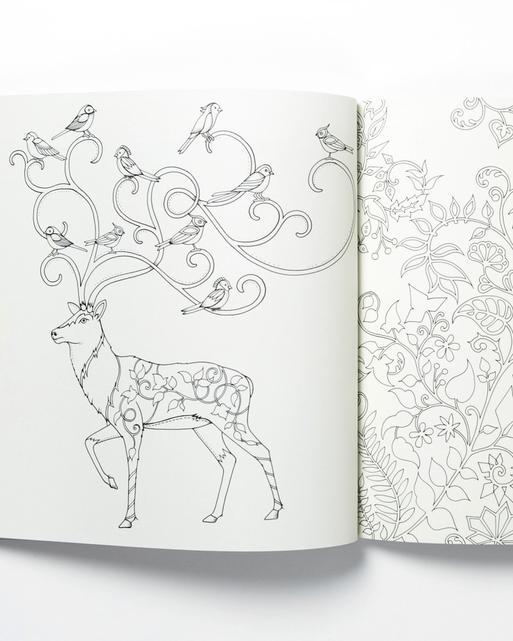 Enchanted forest an inky quest and colouring book - moowes