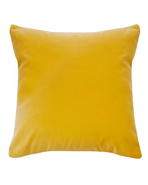 Velvet Cushion